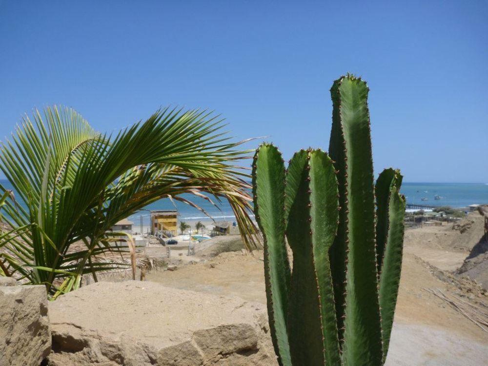 Oceanic Bungalows Los Órganos Buitenkant foto